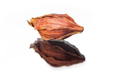 TGA 2021：最佳手游《原神》最佳原声《尼尔：伪装者》